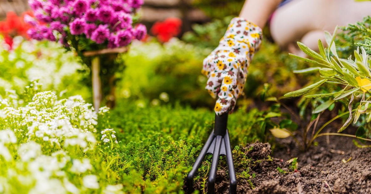 From Bare to Beautiful: Easy Garden Design for Lazy Weekends