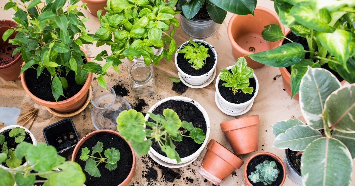 Balcony gardening in progress with potted plants, scattered soil, and repotting tools.